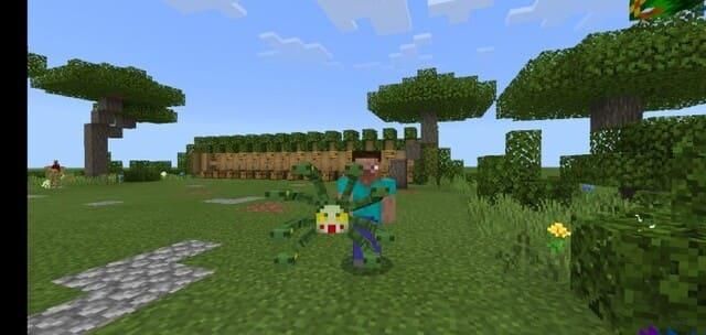 Голова Медузы Горгоны