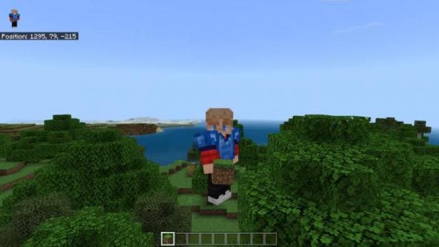 Летающий игрок