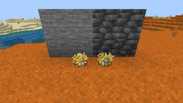 Новые виды Чешуйниц