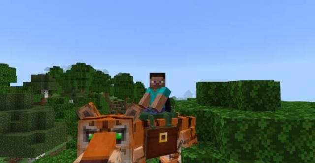 Игрок на тигре