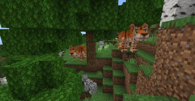 Белый и обычный тигры