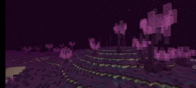 Болото хоруса