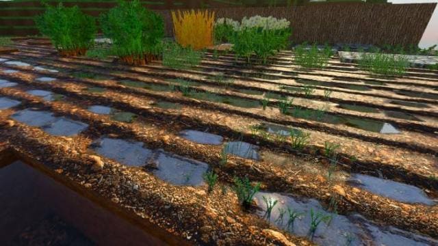 Красивый вид огорода