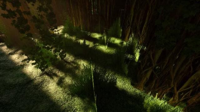 Тени от деревьев