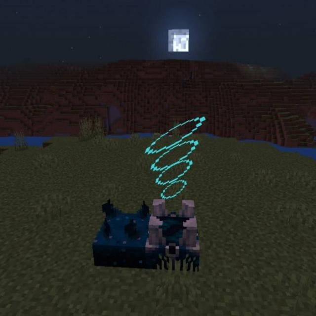 Частицы Скалк-крикуна