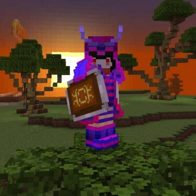 Обновленный щит