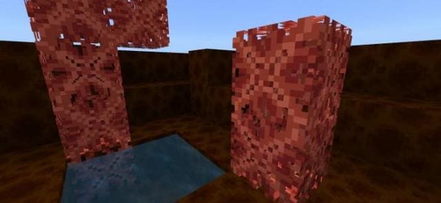 Мангровые блоки