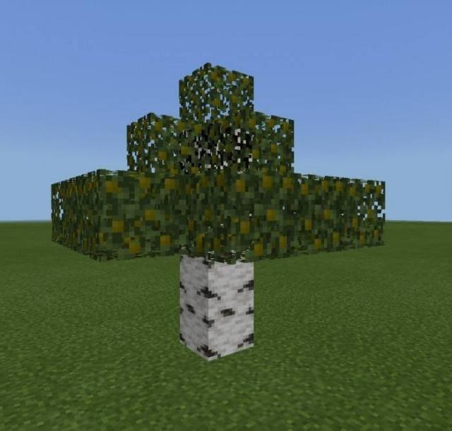 Киви на дереве