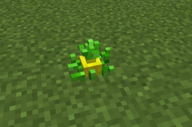 Растение ананаса