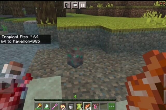 Агаличнис яйцо в воде