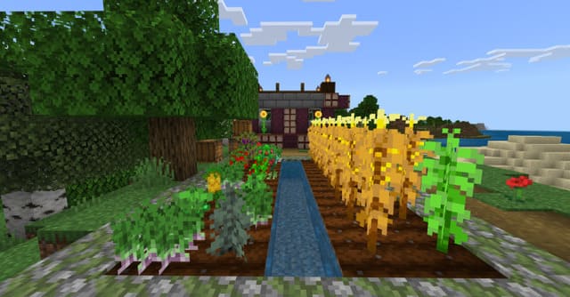 Игрок внутри зарослей