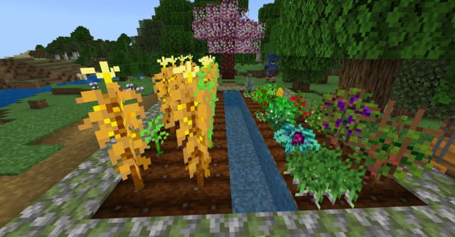 Множество растений