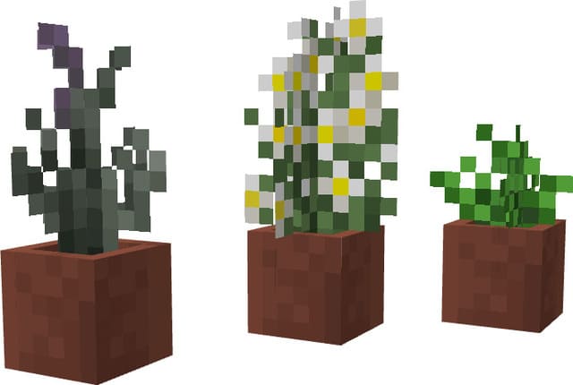 Травяные чаи в горшках