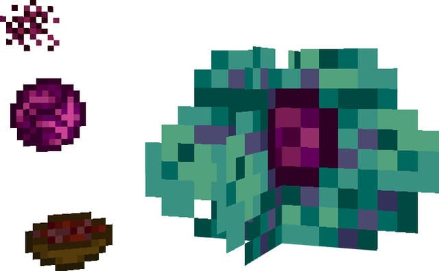 Красная капуста