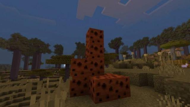 Гнезда термитов