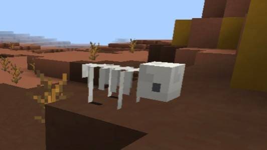 Окаменелости