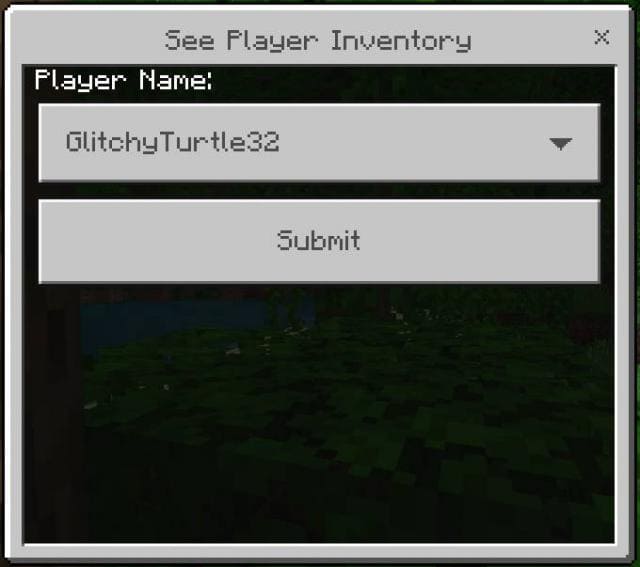 Просмотр инвентаря игрока