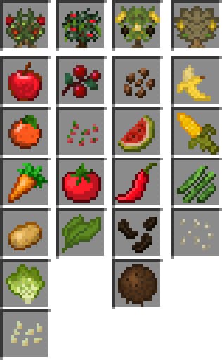 Разнообразие еды и семян