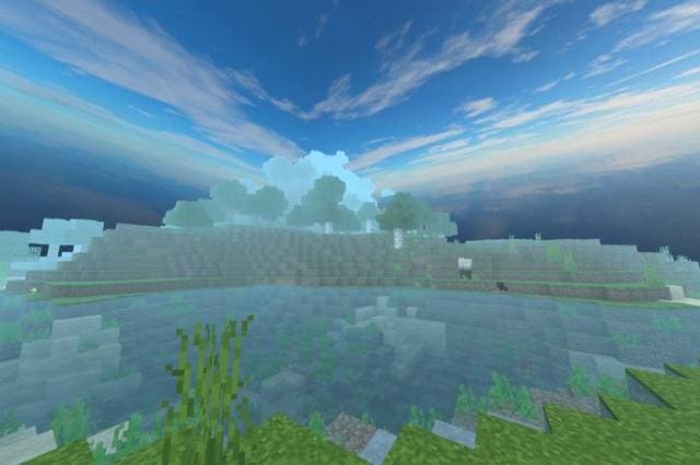 Туманный лес