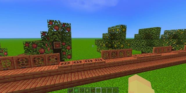 Листья растений