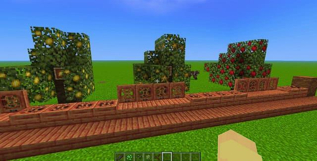 Фрукты на растениях