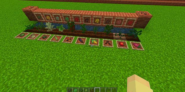 Все виды растений и семян