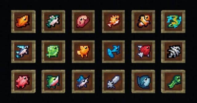 Разные виды рыб в рамках