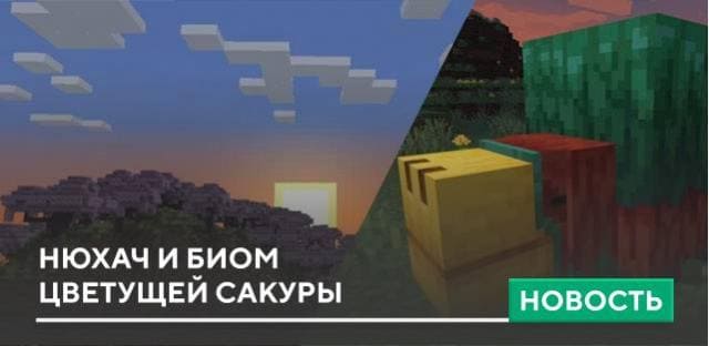 Нюхач и биом Цветущей Сакуры