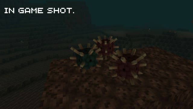 Адский еж в игре