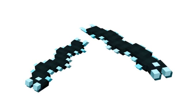 Сороконожка душ