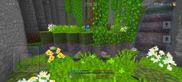 Лоза в пещере