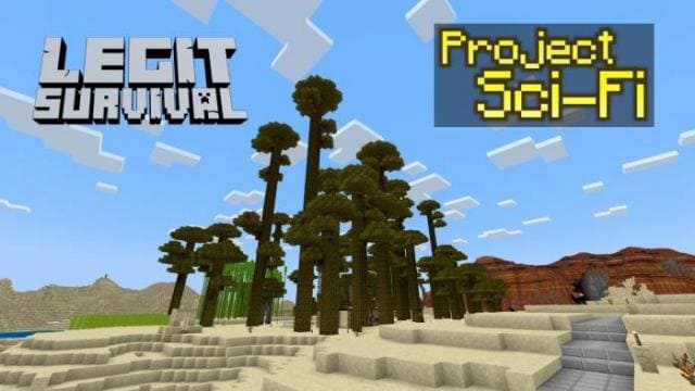 Высокие деревья в пустыне