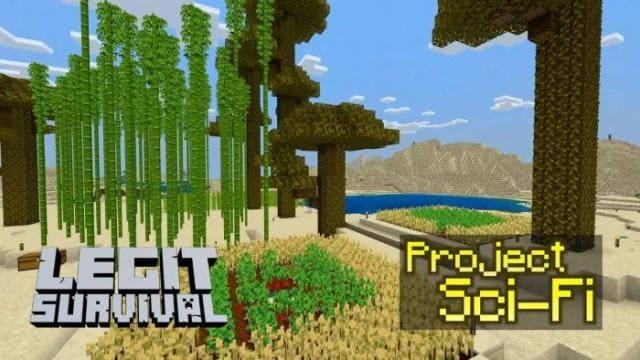 Растения и овощи в огороде