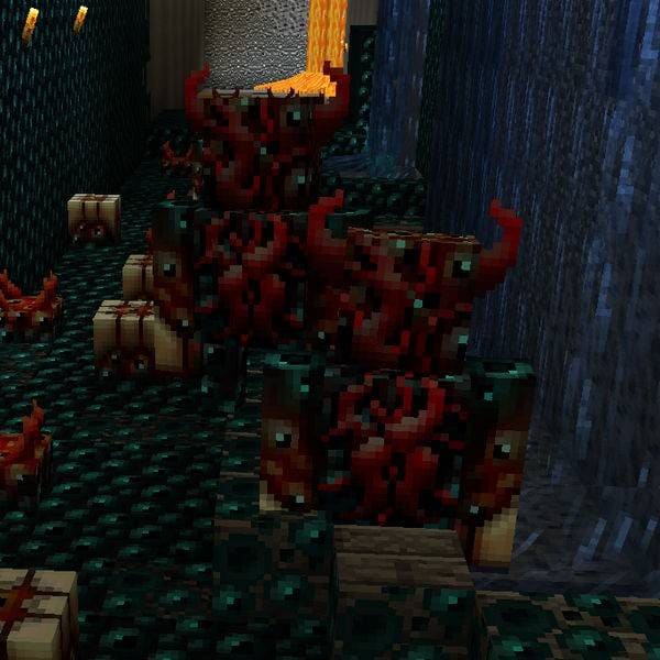 Эволюционный варден