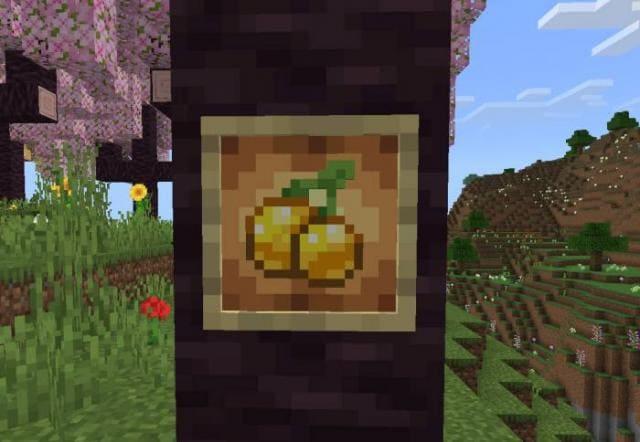 Золотая вишня