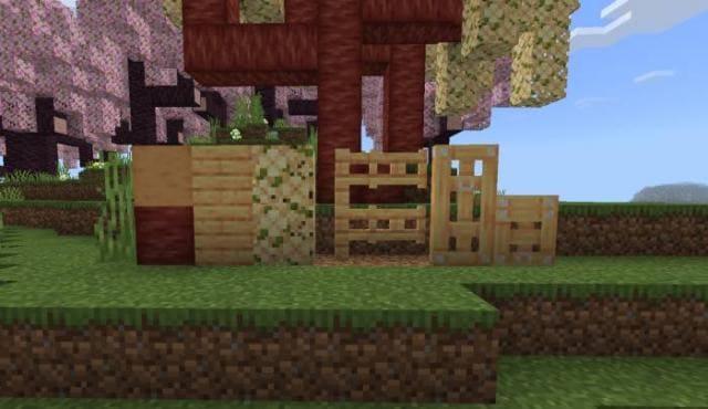 Золотая вишневая древесина