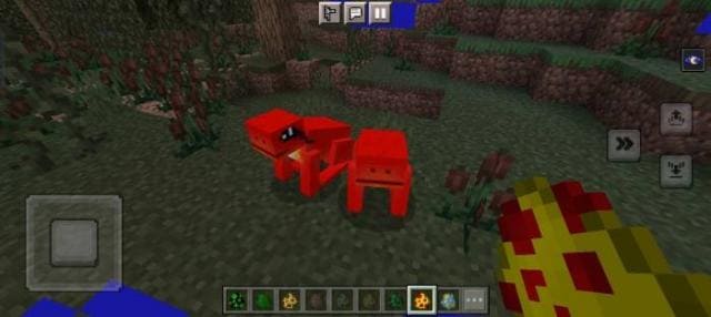 Красная лягушка