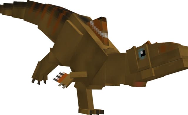 Конкавенатор Корковатус