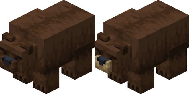 Медведь Гризли