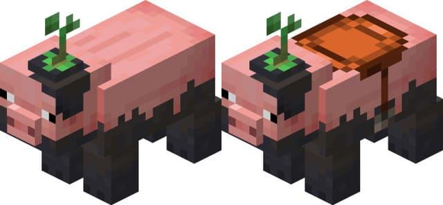 Грязная свинья