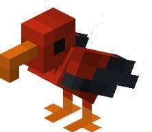 Алый медонос