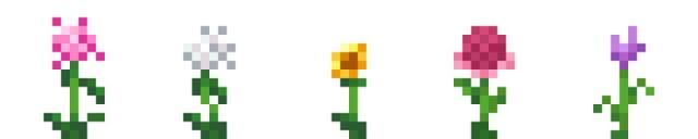 Разные виды цветов