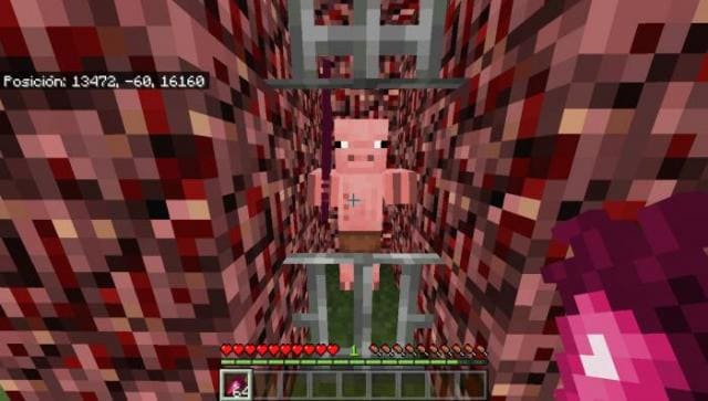 Свиночеловек