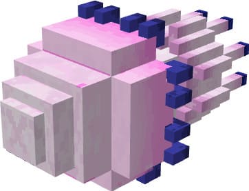 Физалия физалис