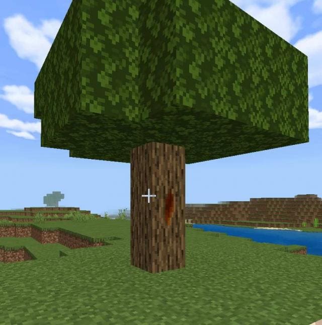 Большое дерево