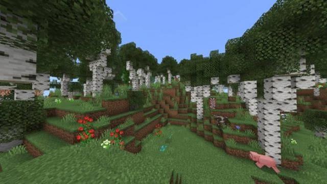 Березовый лес