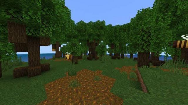 Крытые леса