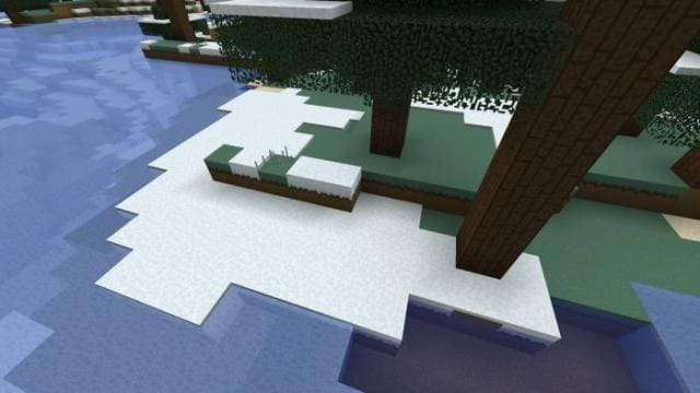 Снег под деревьями