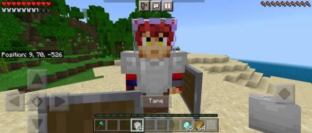 Приручение игрока черепами