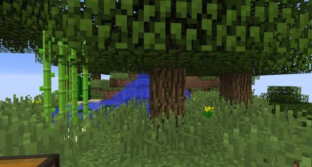 Небесный остров вид внутри 2